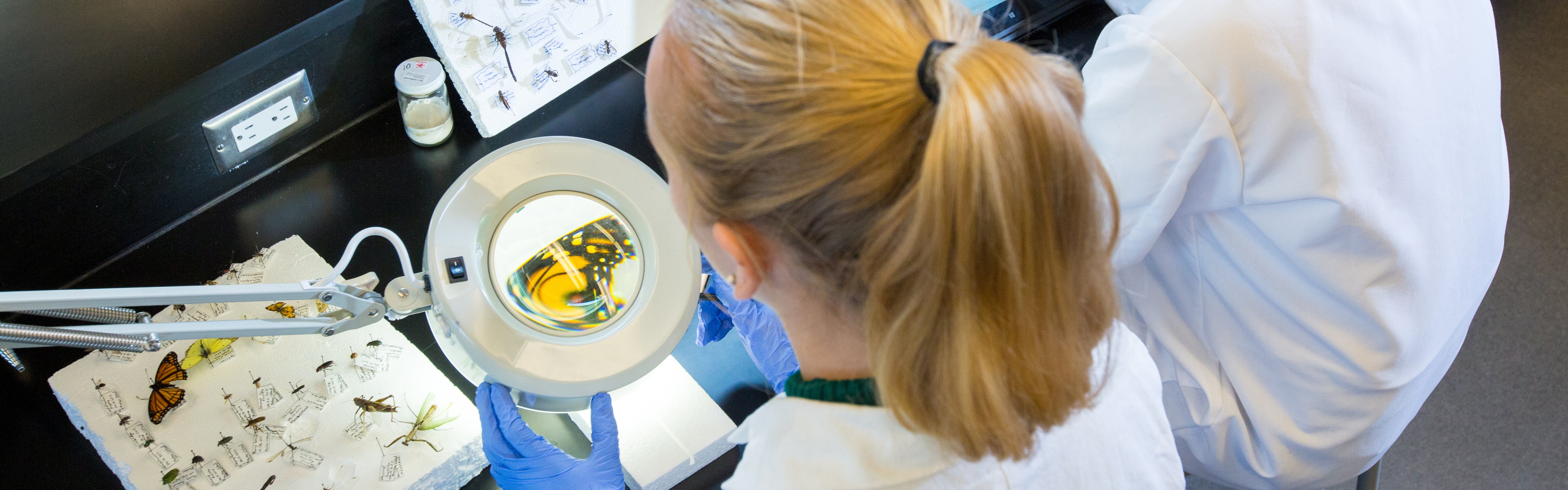 students at a microscope