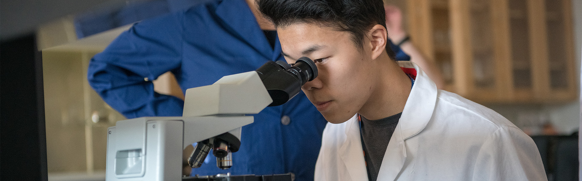 Student observing a specimen under a microscope