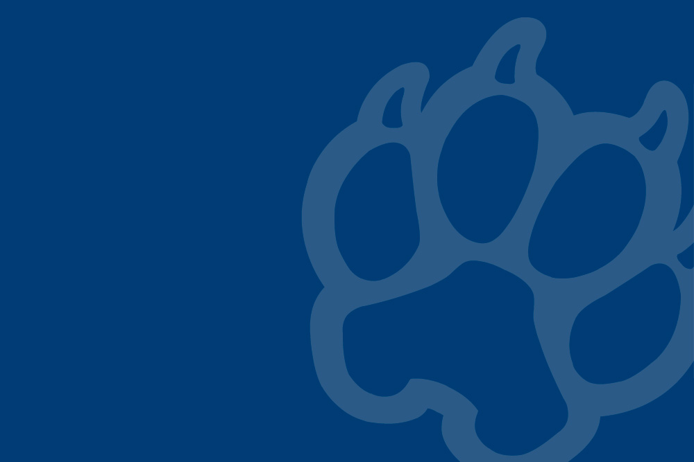 Hunter's paw