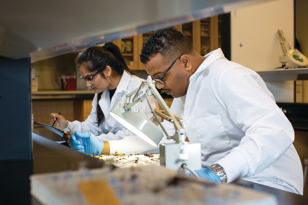 Students in lab