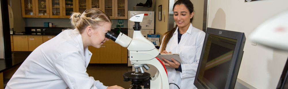 students at a microscope